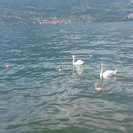 Appartamento Vista Lago - Betta Lezzeno Ngoại thất bức ảnh